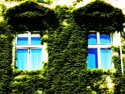 Kristina kufner -zeleni prozori